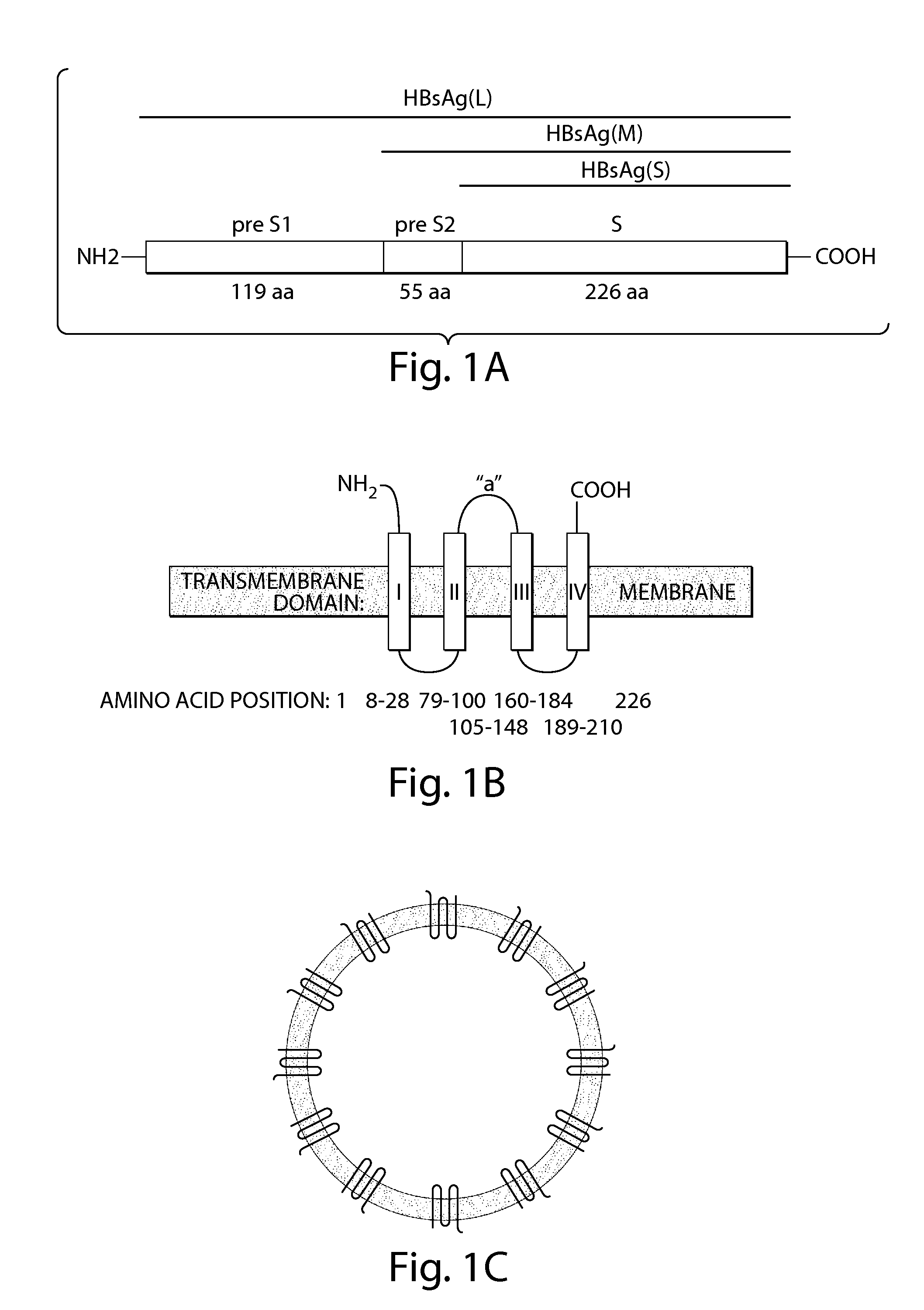 Hollow nanoparticles and uses thereof