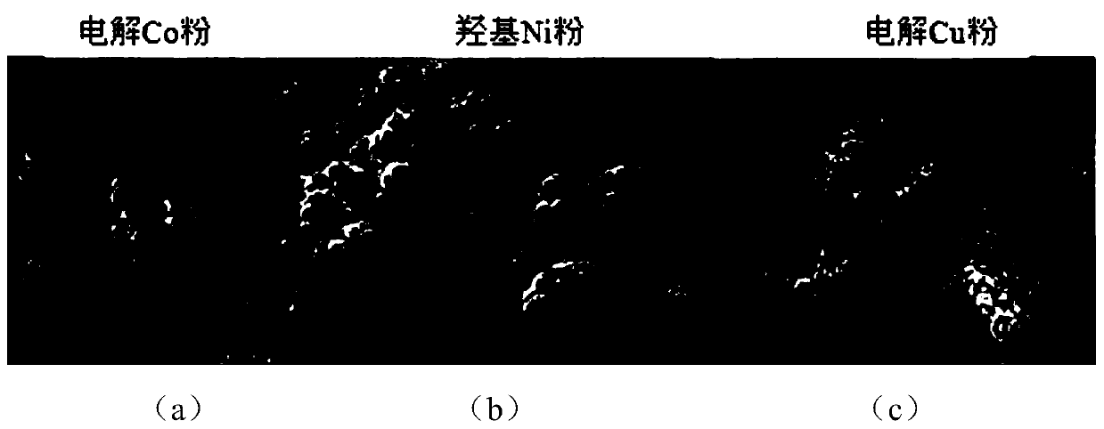 High mechanical durable super-hydrophobic/oil coating with bionic structure and preparation method of high mechanical durable super-hydrophobic/oil coating