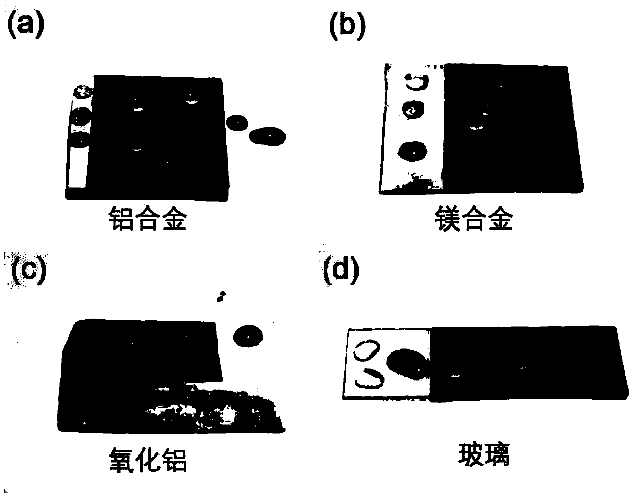 High mechanical durable super-hydrophobic/oil coating with bionic structure and preparation method of high mechanical durable super-hydrophobic/oil coating