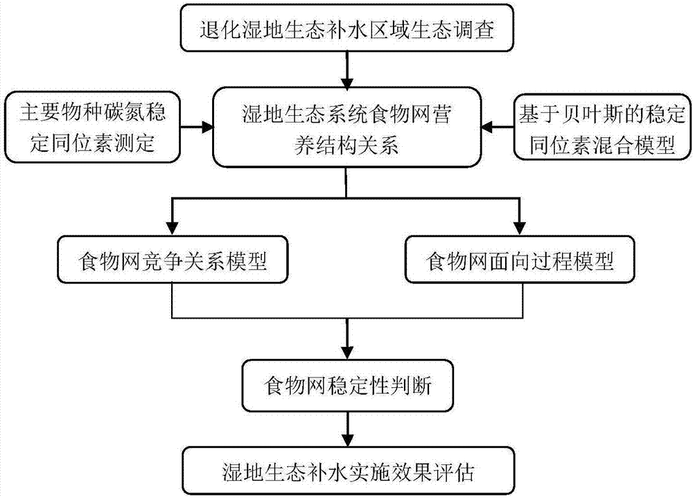 Method for evaluating effects of implementing water ecological compensation in wetland by using stability of food cycle