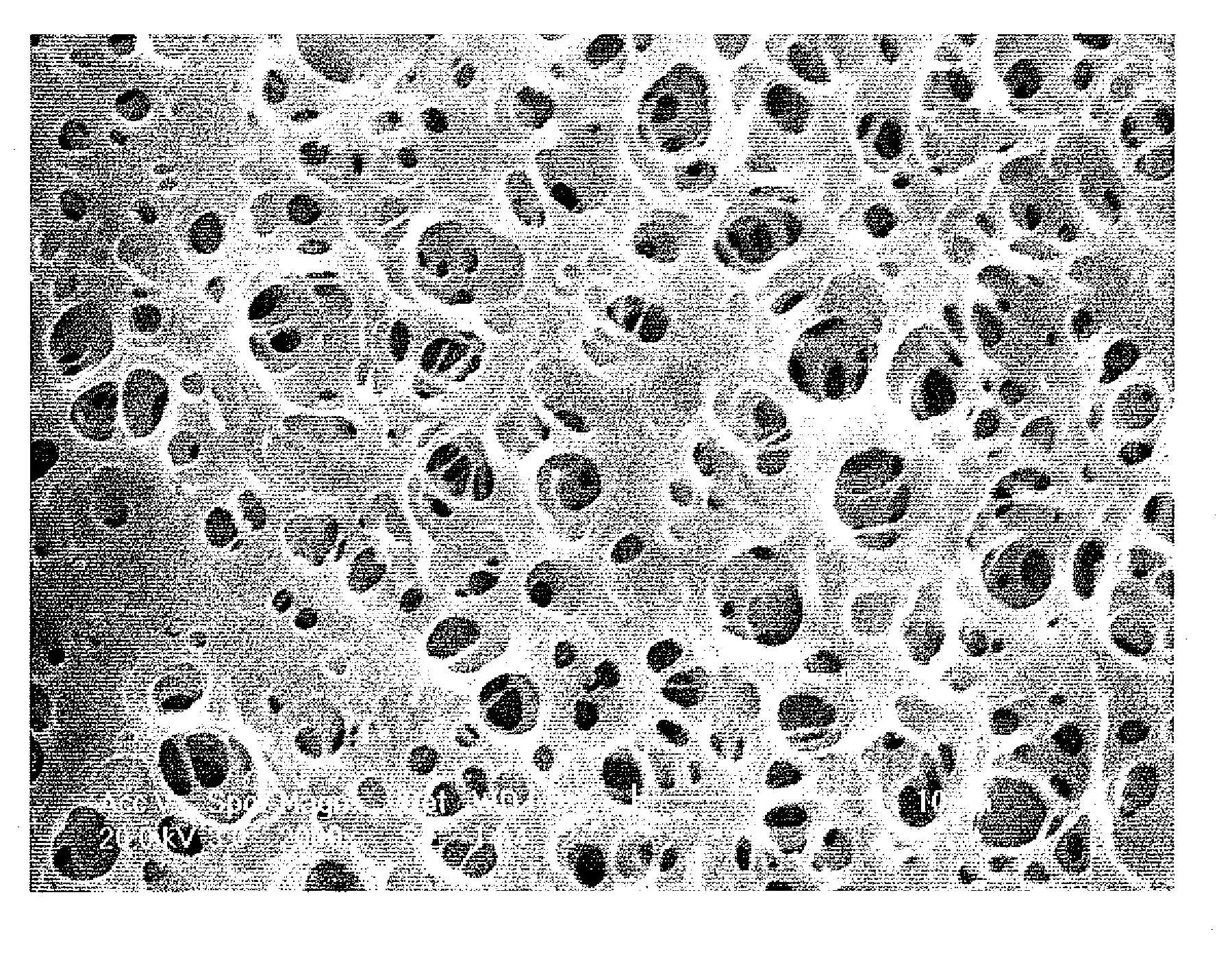 Macroporous copolymers with large pores