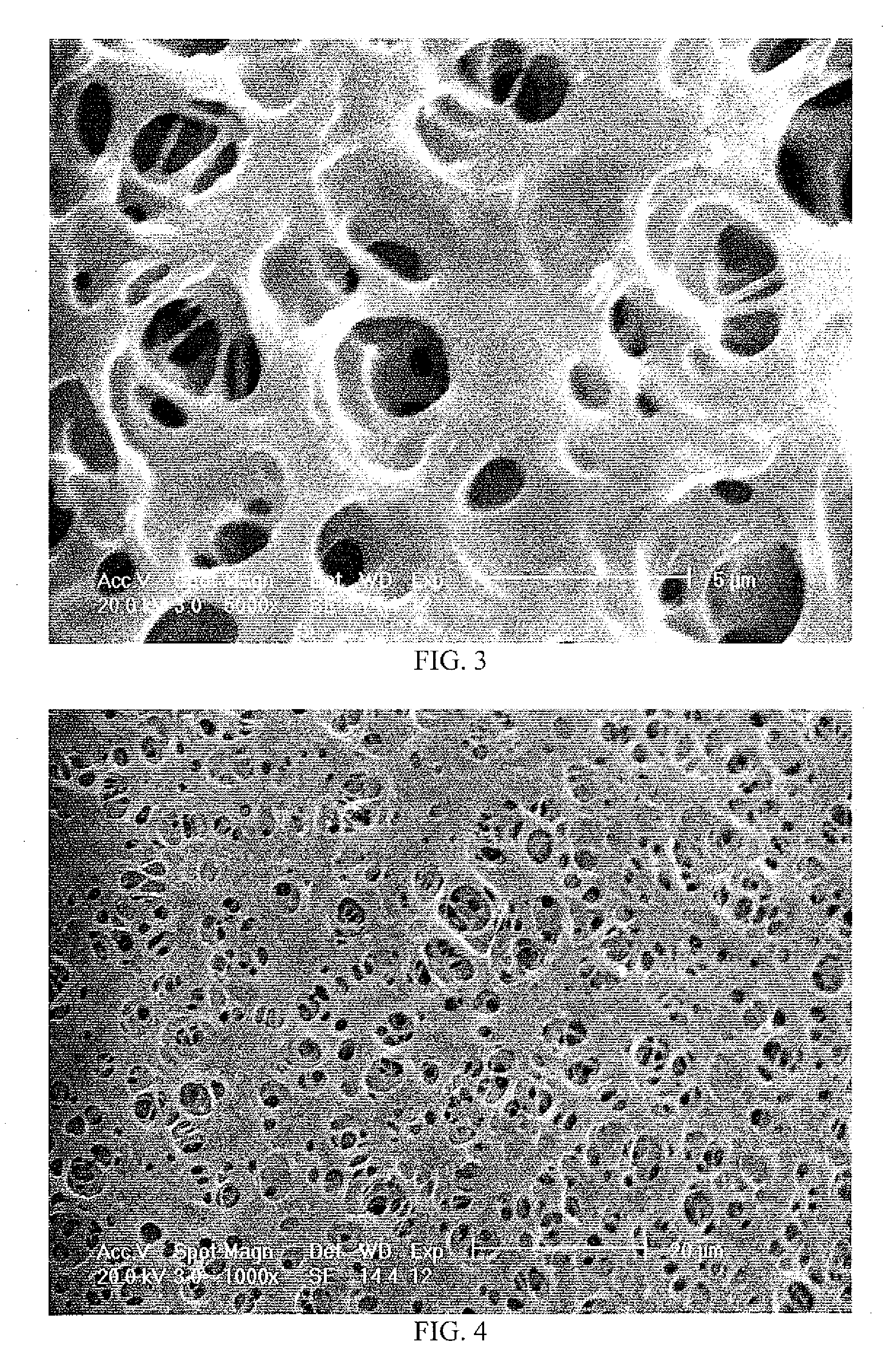 Macroporous copolymers with large pores