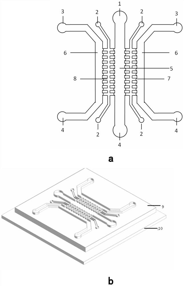 A three-dimensional cell spheroid migration monitoring method based on microfluidic chip technology