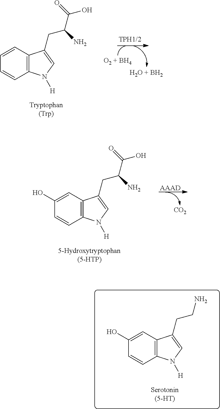 Xanthine derivatives, their use as a medicament, and pharmaceutical preparations comprising the same