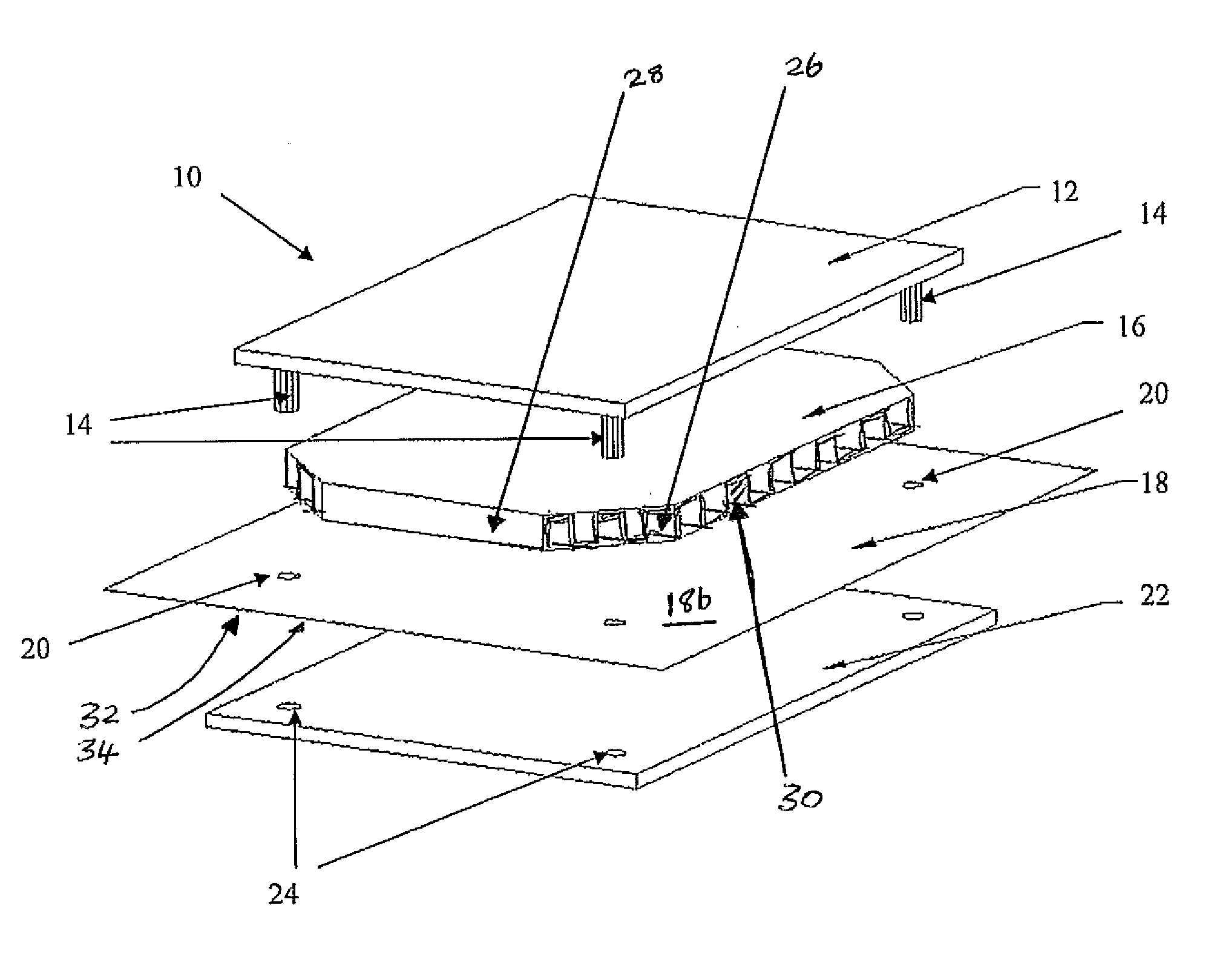 Insect monitoring device and method of detection