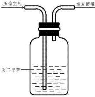 Preparation method of 5-methylpyrazine-2-carboxylic acid