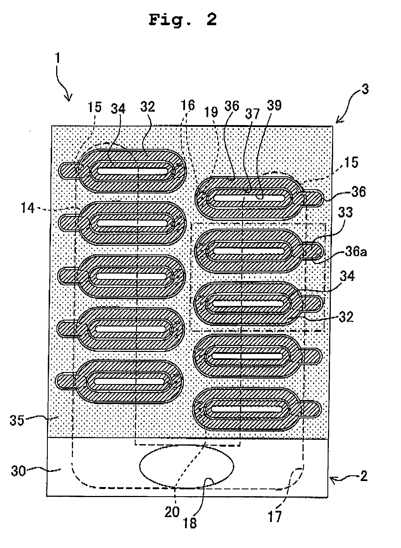 Liquid jetting head and method for producing the same