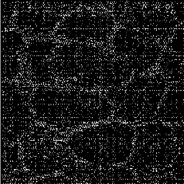 A Superpixel Reconstruction Segmentation and Reconstruction Method Based on Multiphoton Confocal Microscopic Cell Image