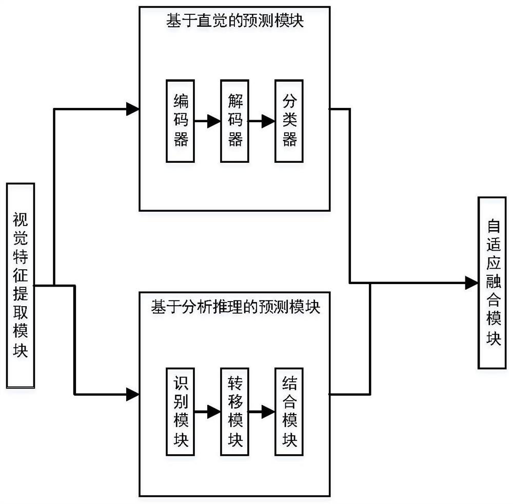 First-view video behavior prediction system and method