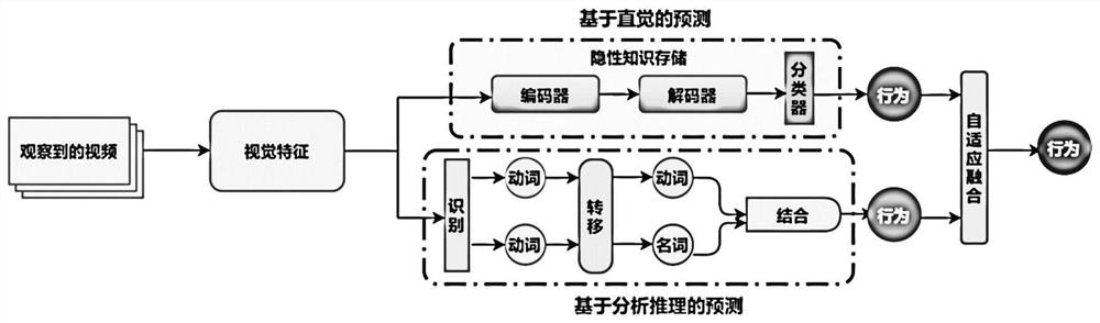 First-view video behavior prediction system and method