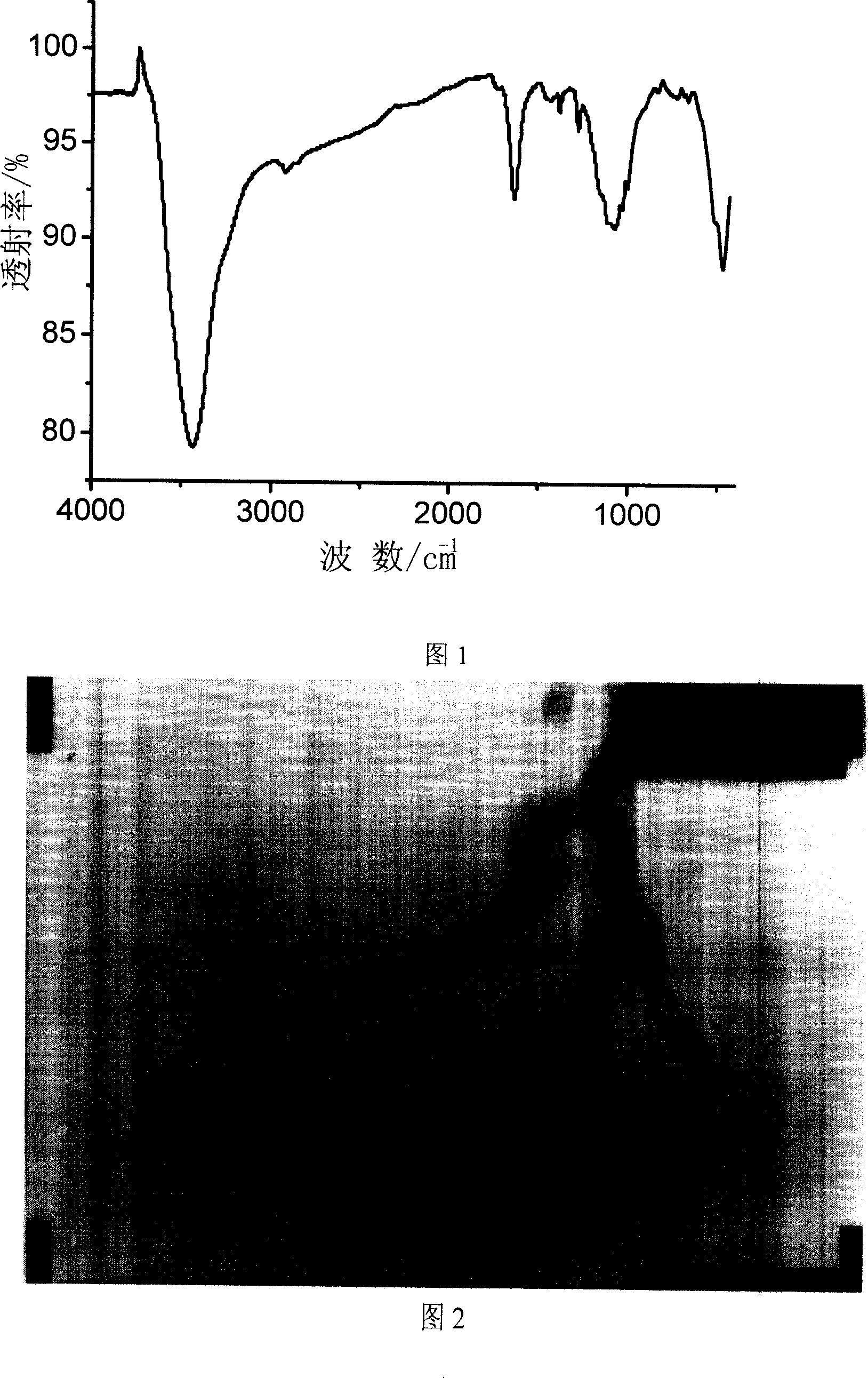 Soluble carbon nanometer pipe absocped with polyelectrolyte on surface and its preparation method