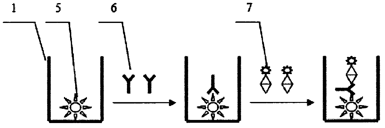 Time resolution fluorescence detection kit based on phosphorescence luminous technology, and preparation method and application of detection kit