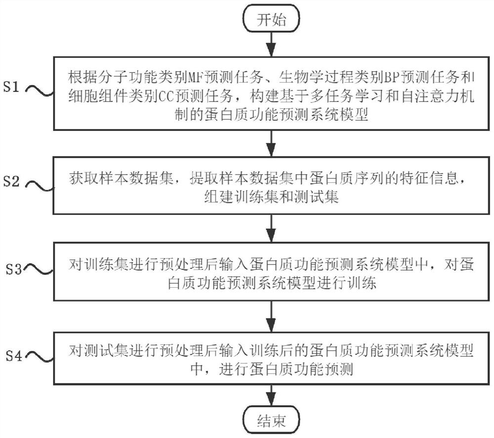 Protein function prediction method combining multi-task learning and self-attention mechanism