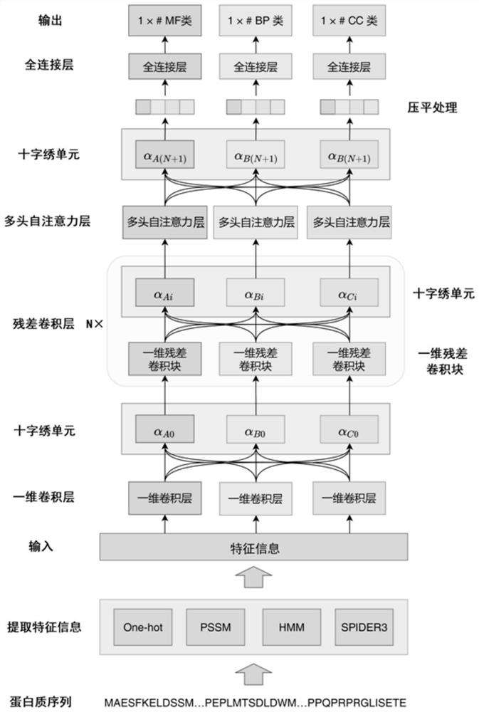 Protein function prediction method combining multi-task learning and self-attention mechanism