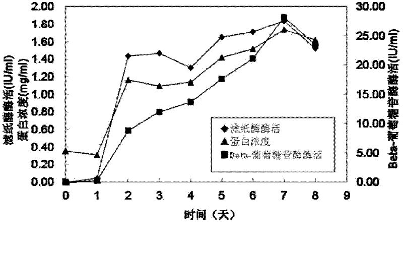 Celluase producing bacterium and application thereof