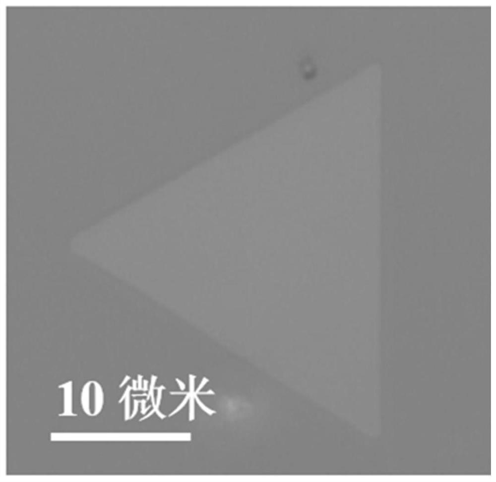 A kind of ytterbium oxychloride nanosheet and its preparation method and application
