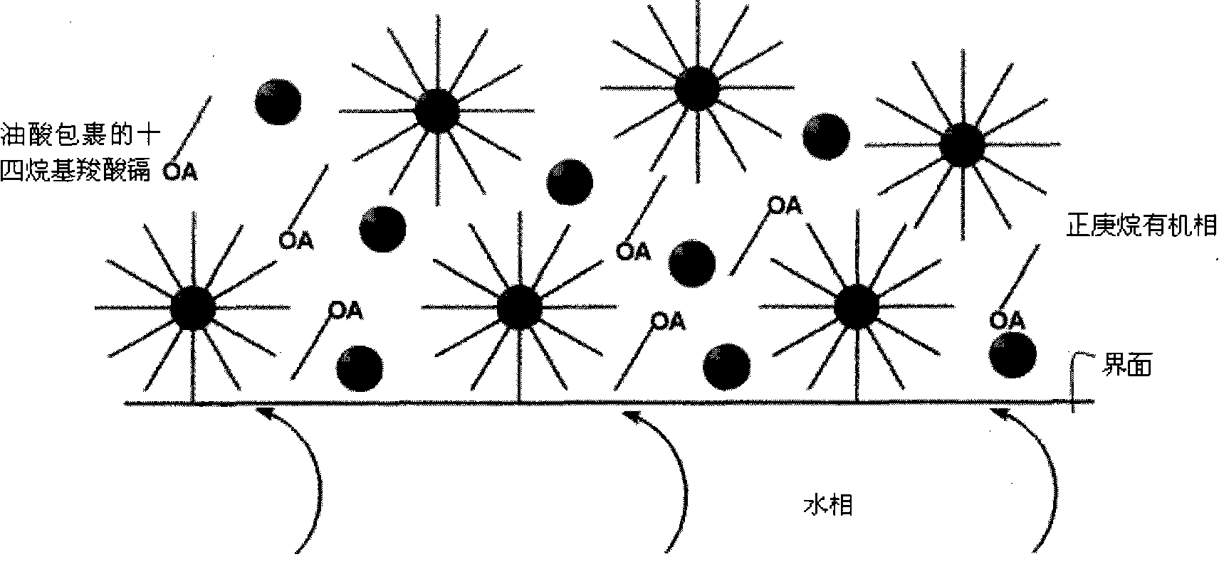 Preparation method of CdSe/CdS core-shell structure quantum dots