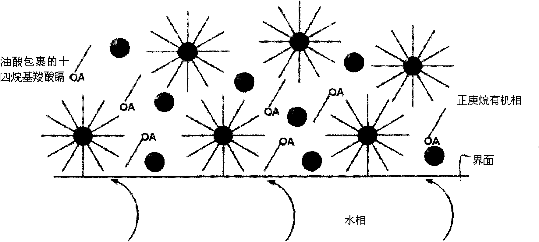 Preparation method of CdSe/CdS core-shell structure quantum dots