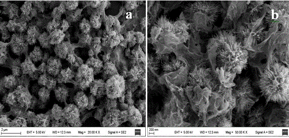 Method for preparing graphene-loaded flower-like titanium dioxide composites by hydrothermal method