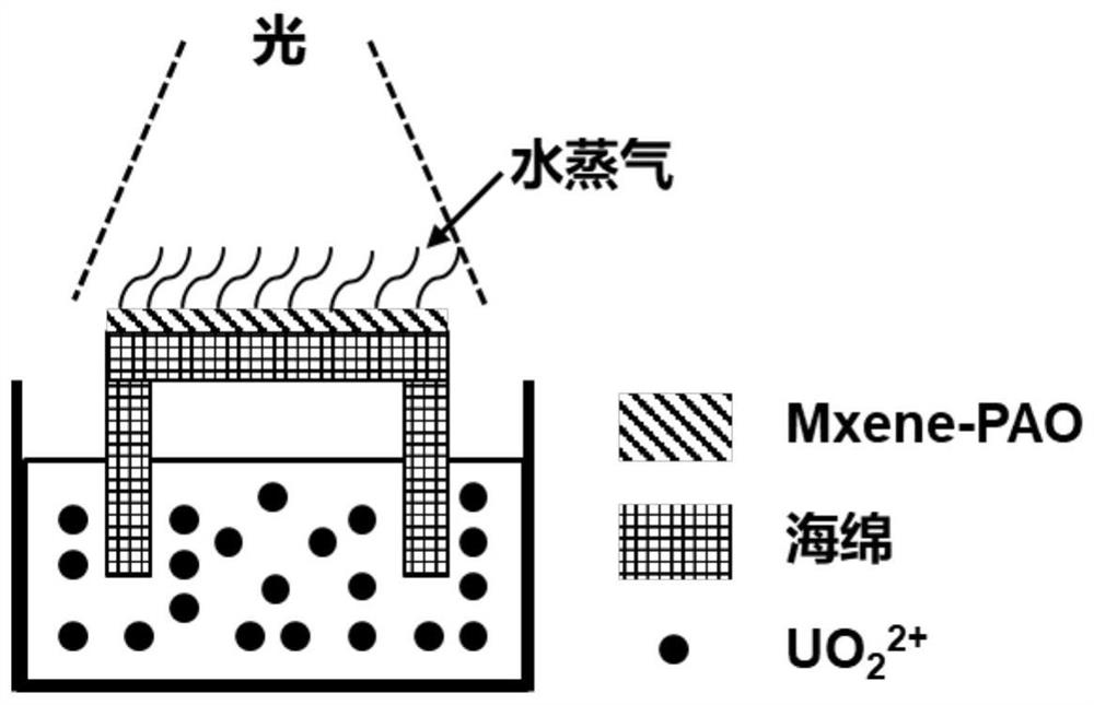Preparation method of Mxene membrane adsorption material based on polyamidoxime and uranium extraction method