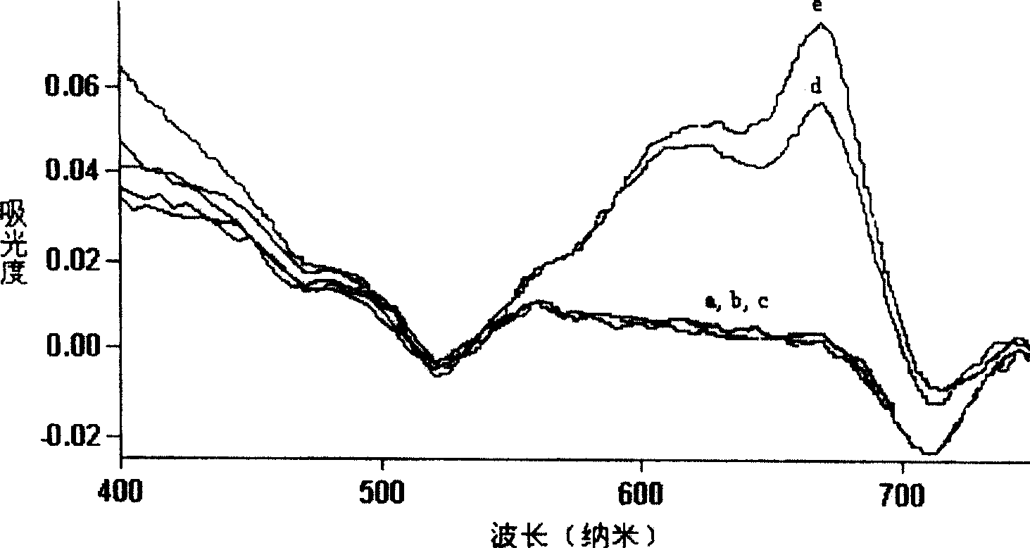 Method for preparing catalyst for converting mercaptan in gasoline