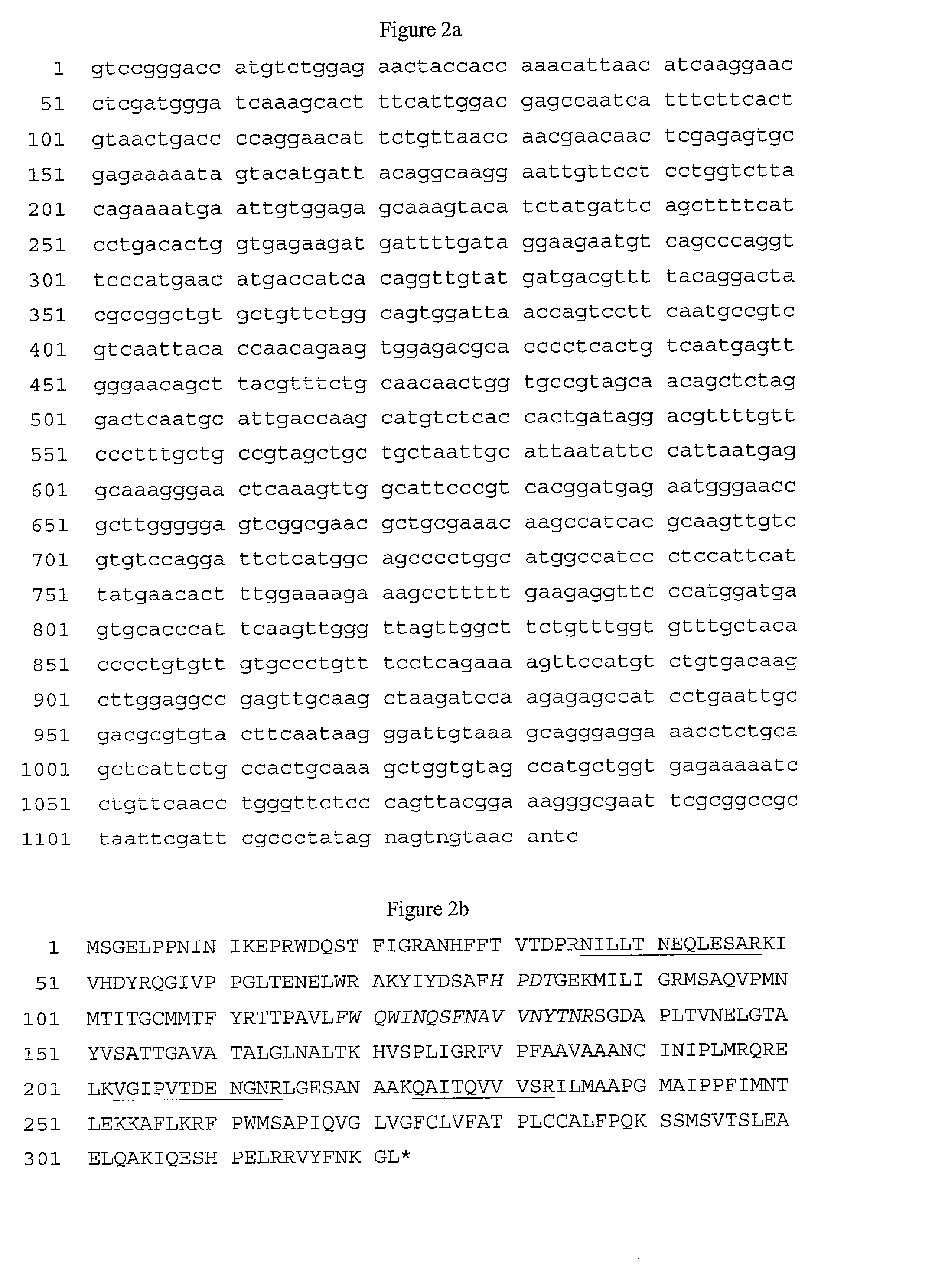 Nucleic acid molecules, polypeptides and uses therefor, including diagnosis and treatment of Alzheimer's disease