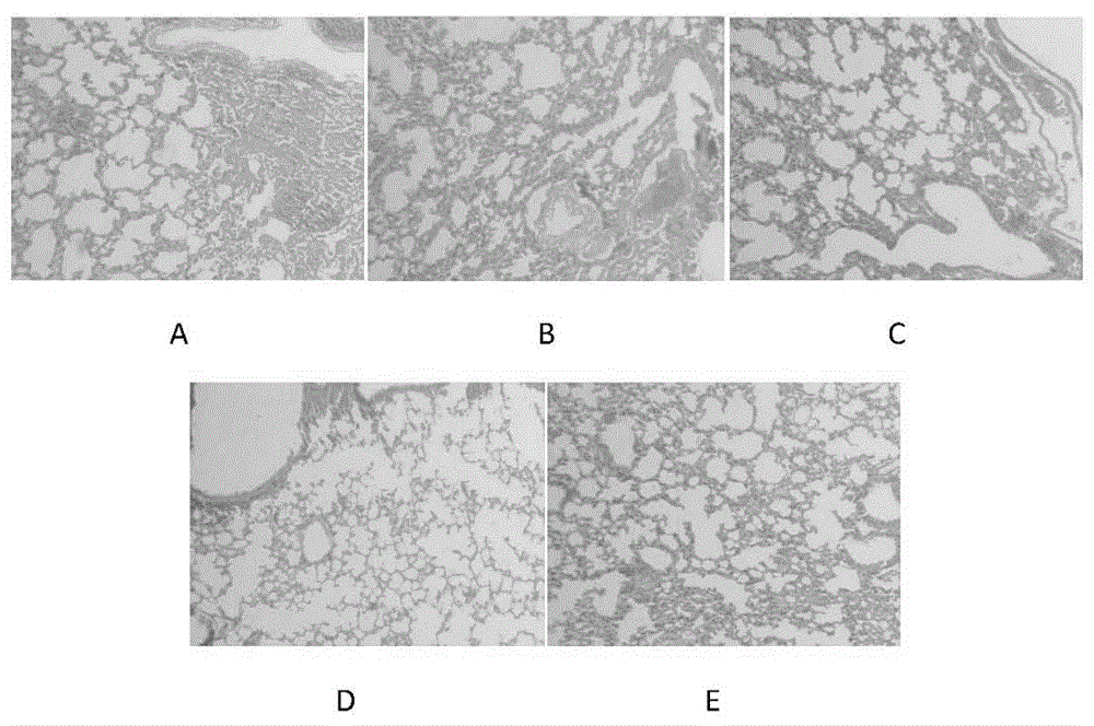 Compound traditional Chinese medicine for effectively preventing and controlling H1N1 and H3N2 swine influenza and porcine reproductive and respiratory syndrome, and preparation method thereof