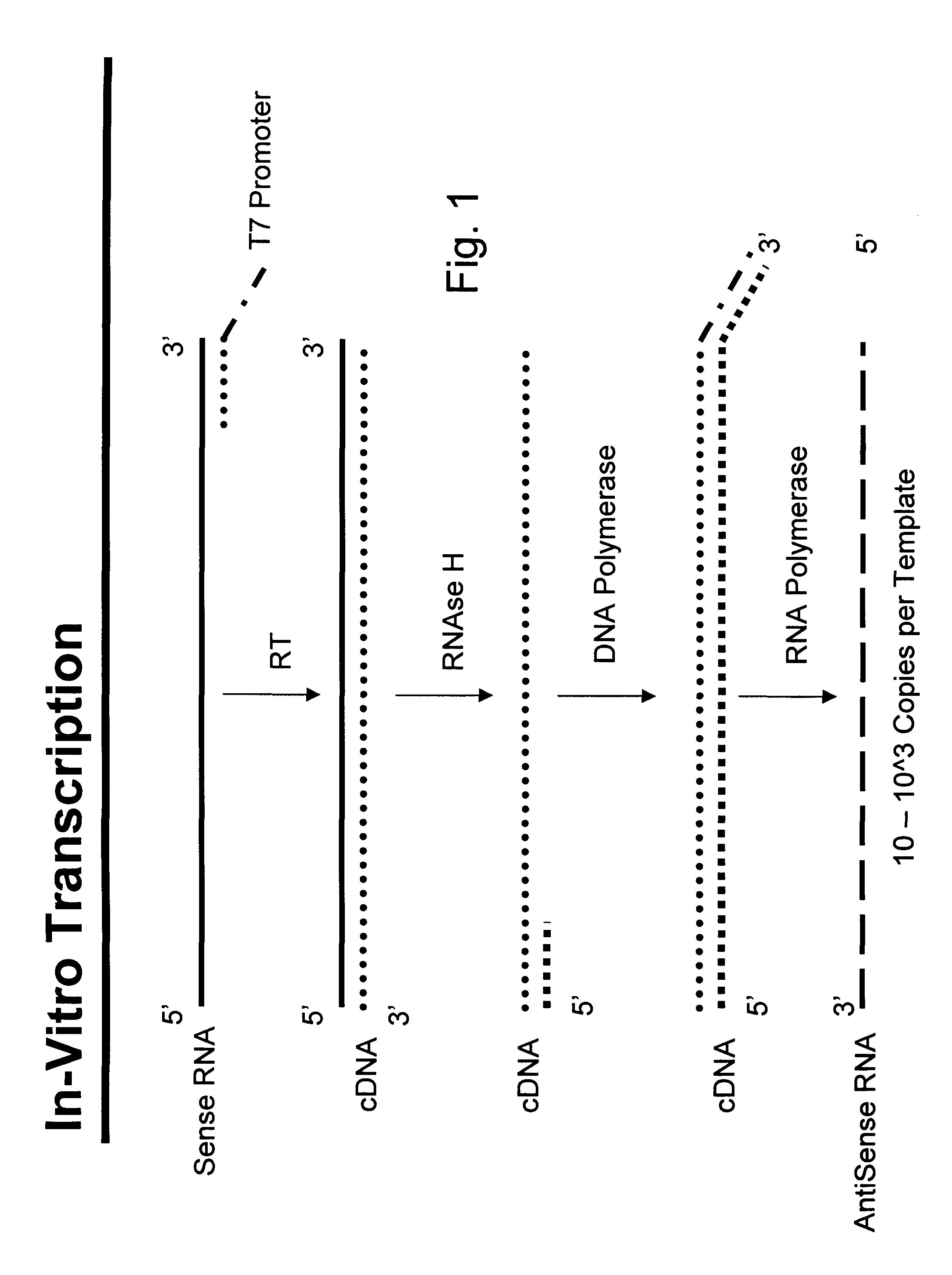 Nucleic acid amplification with integrated multiplex detection