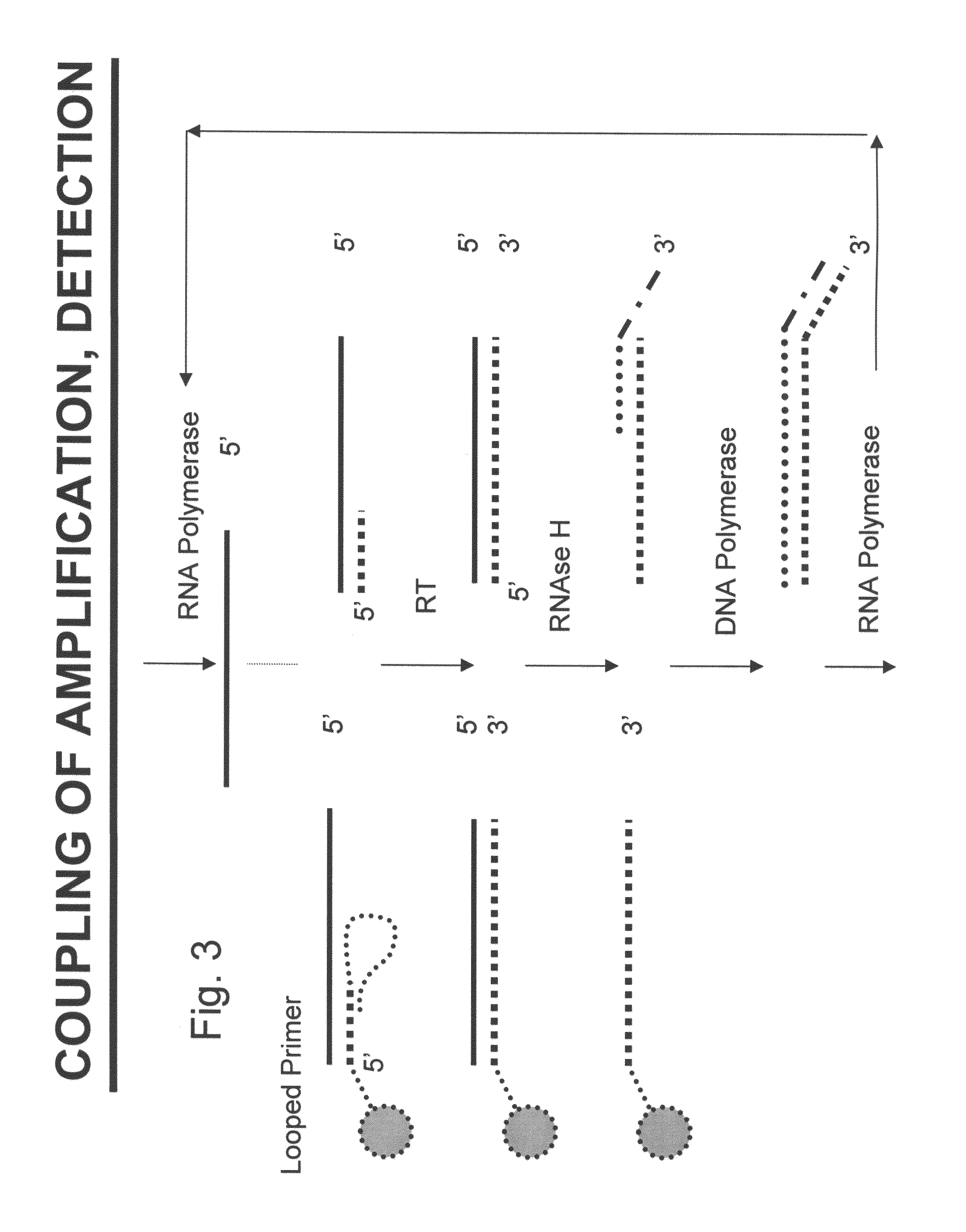 Nucleic acid amplification with integrated multiplex detection