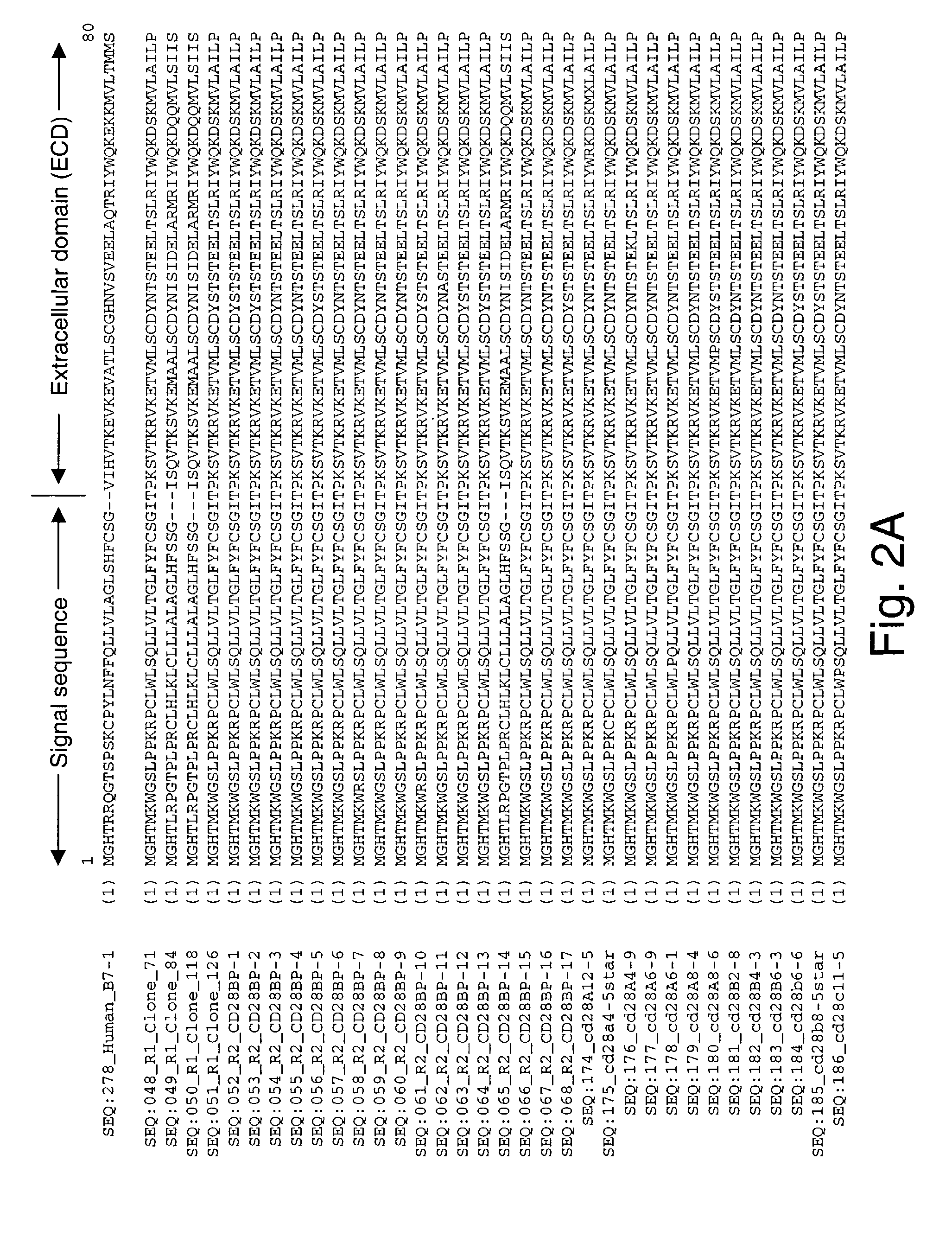 Co-stimulatory polypeptides
