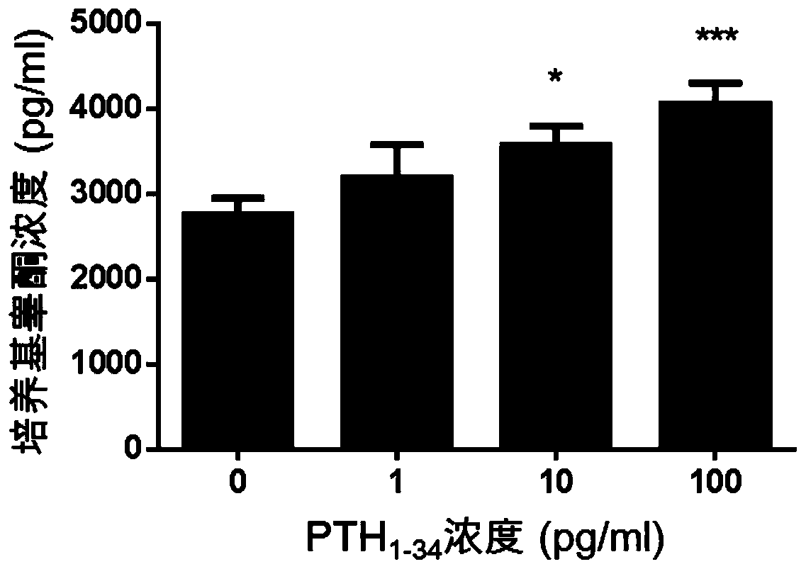 Application of parathyroid hormones (1-34) in preparation of drugs for treating male hypogonadism