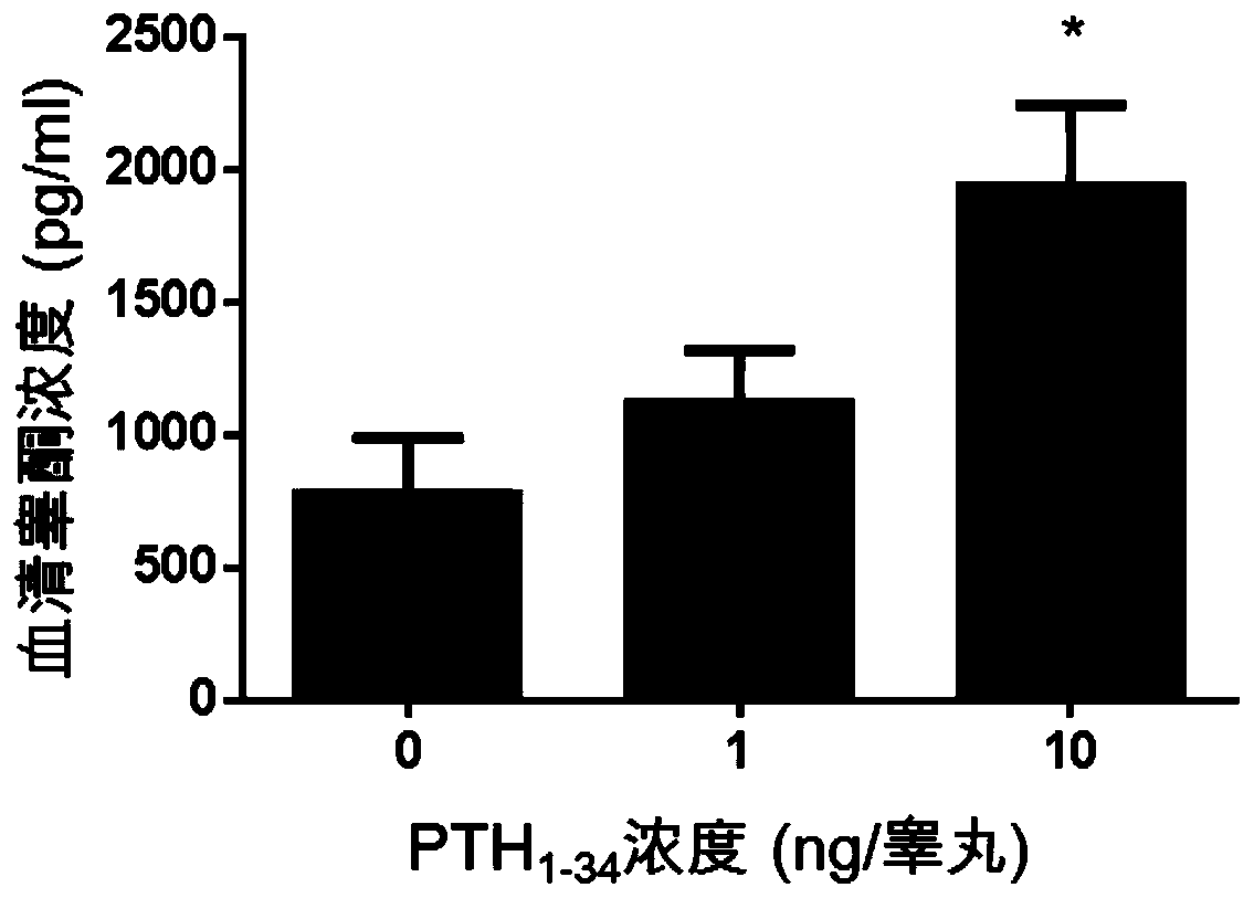 Application of parathyroid hormones (1-34) in preparation of drugs for treating male hypogonadism