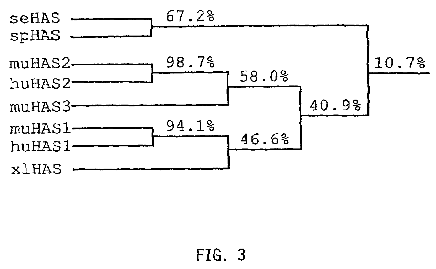 <i>Streptococcus equisimilis </i>hyaluronan synthase gene and expression thereof in <i>Bacillus subtilis </i>