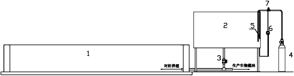 Diatom-prawn compound aquaculture system and process