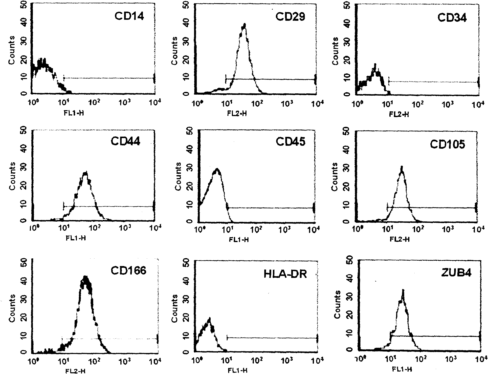 Method for sorting primary human marrow mesenchy malstem cell by monoclonal antibody ZUB4 immunomagnetic bead