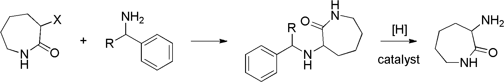 Method for synthesizing DL-alpha-amino caprolactam