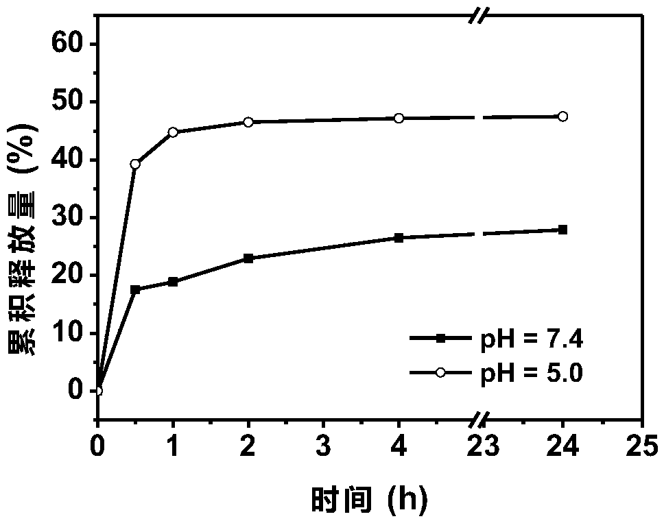 PH responsive nanometer carrier as well as preparation method and application thereof