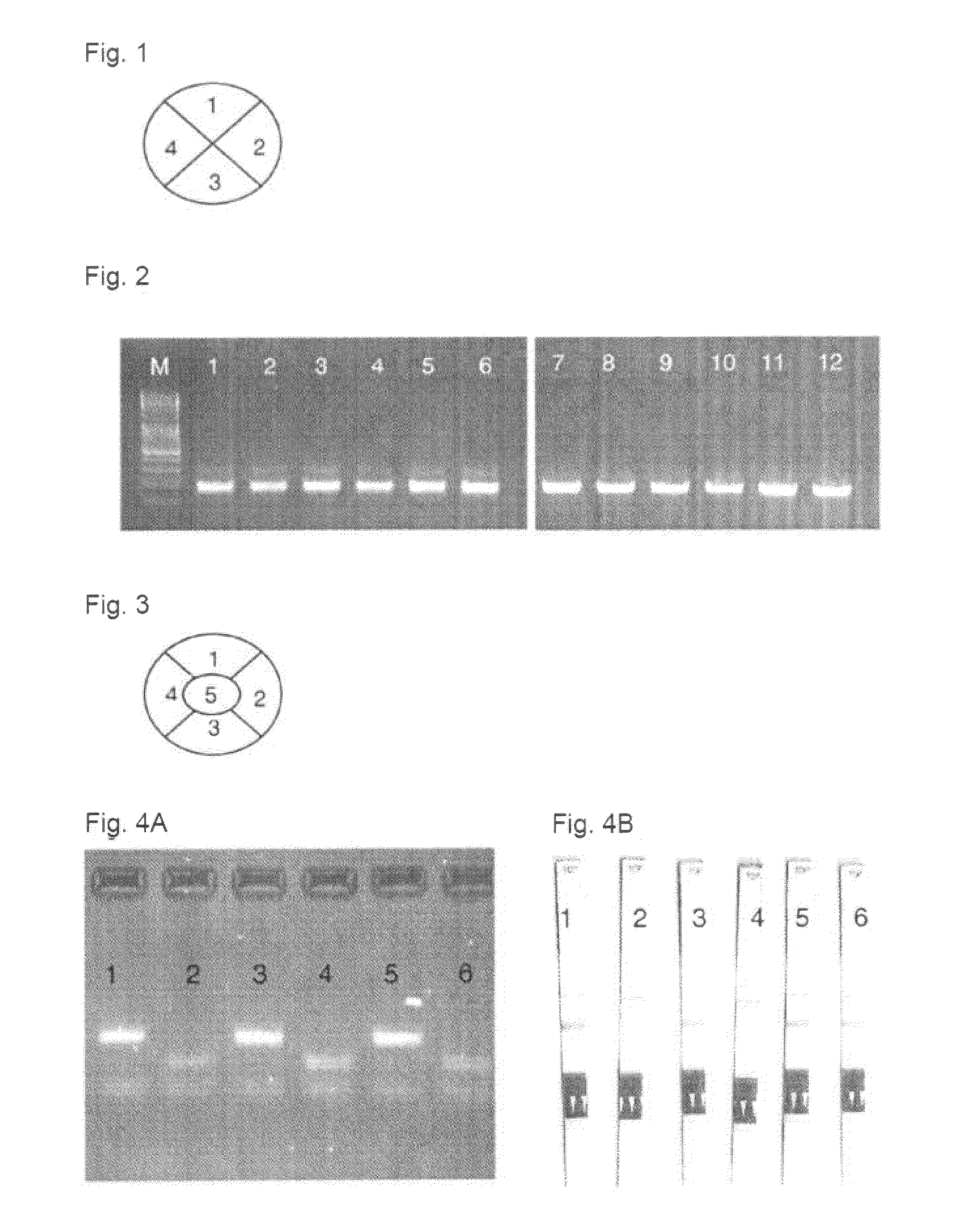 Method, device and test kit for molecular-biological reactions