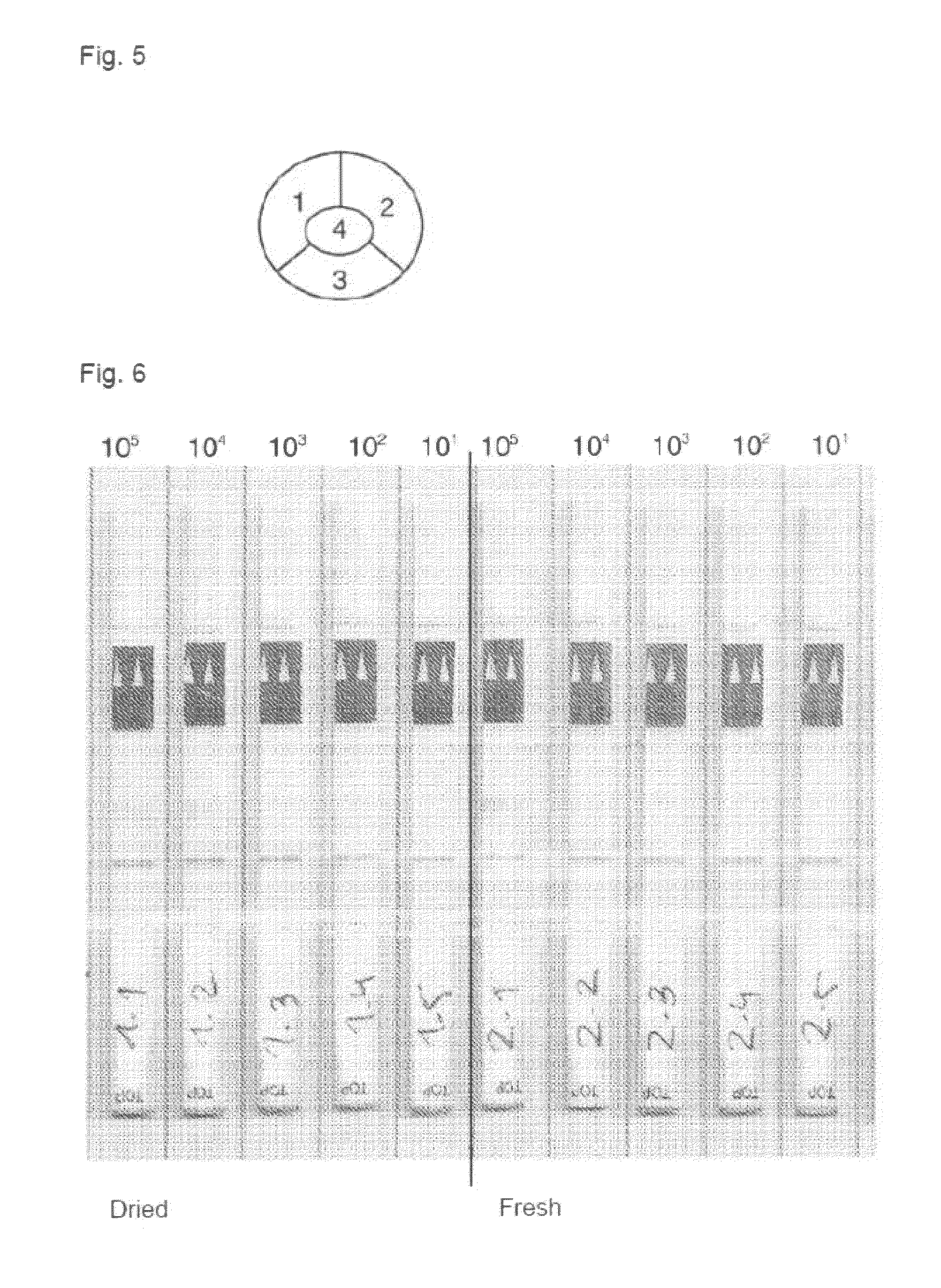 Method, device and test kit for molecular-biological reactions