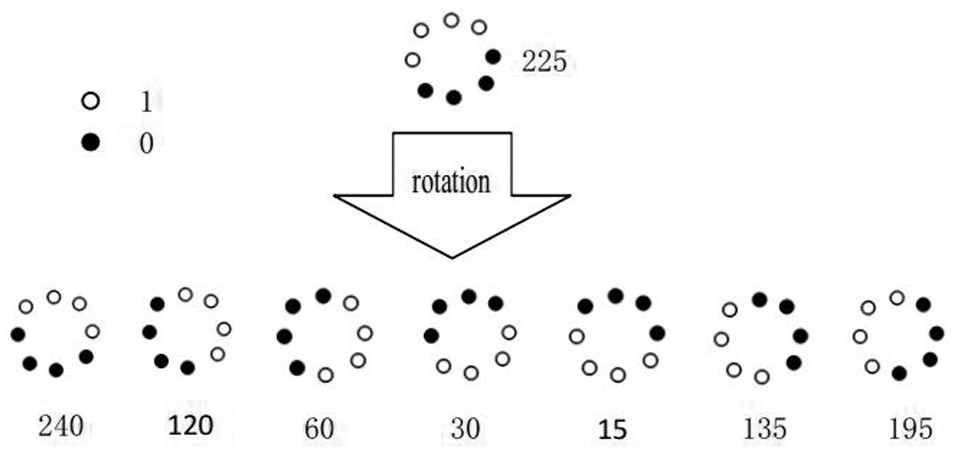 Facial expression recognition method combining LBP features and lightweight neural network