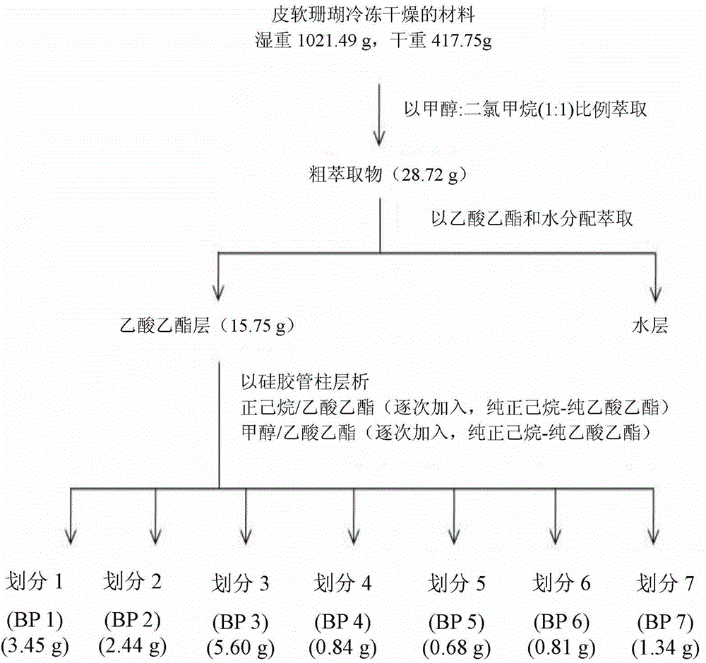 Coral extract, extraction method and use thereof, and coral extract skin care product