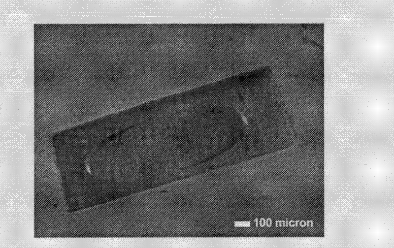 Photoelectrochemical three-dimensional processing method and device of laser bubble cavitation