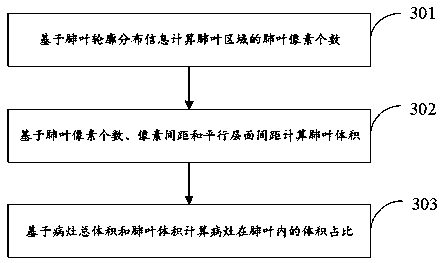 Lesion volume measurement method and device