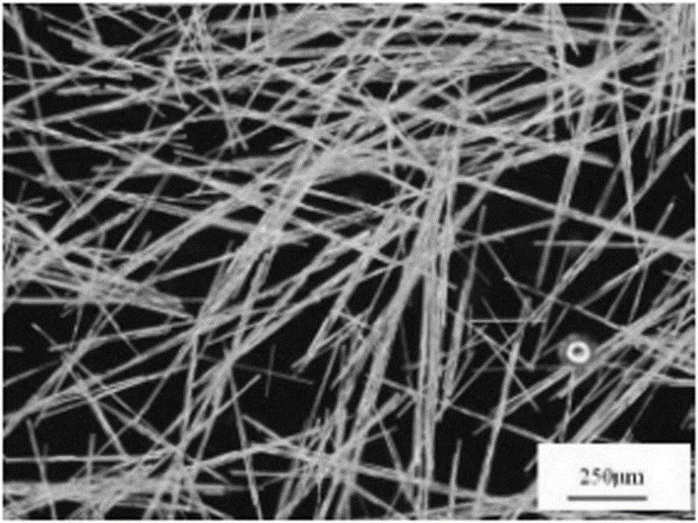 Preparation method and application of anhydrous calcium terephthalate whiskers