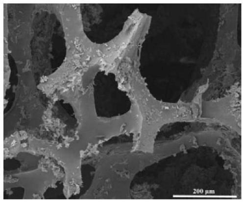 A kind of super amphiphilic polyurethane foam material and preparation method thereof