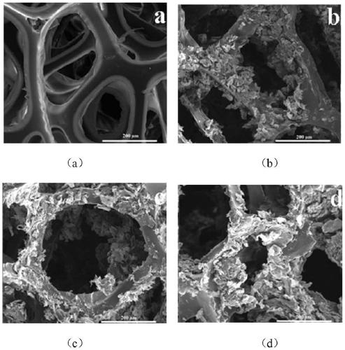 A kind of super amphiphilic polyurethane foam material and preparation method thereof