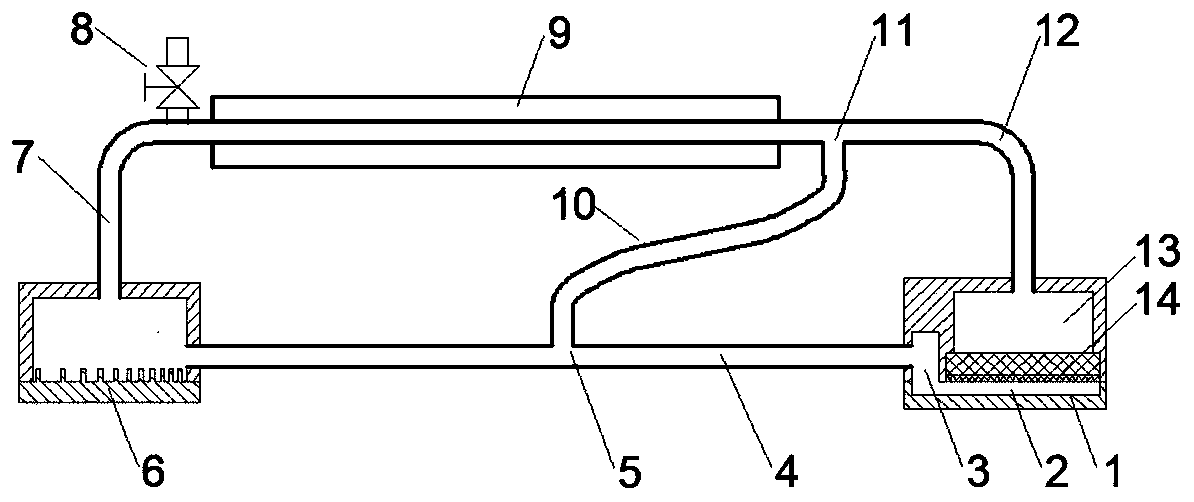 A Microstructured Liquid Self-Driven Flat Loop Heat Pipe with Branches