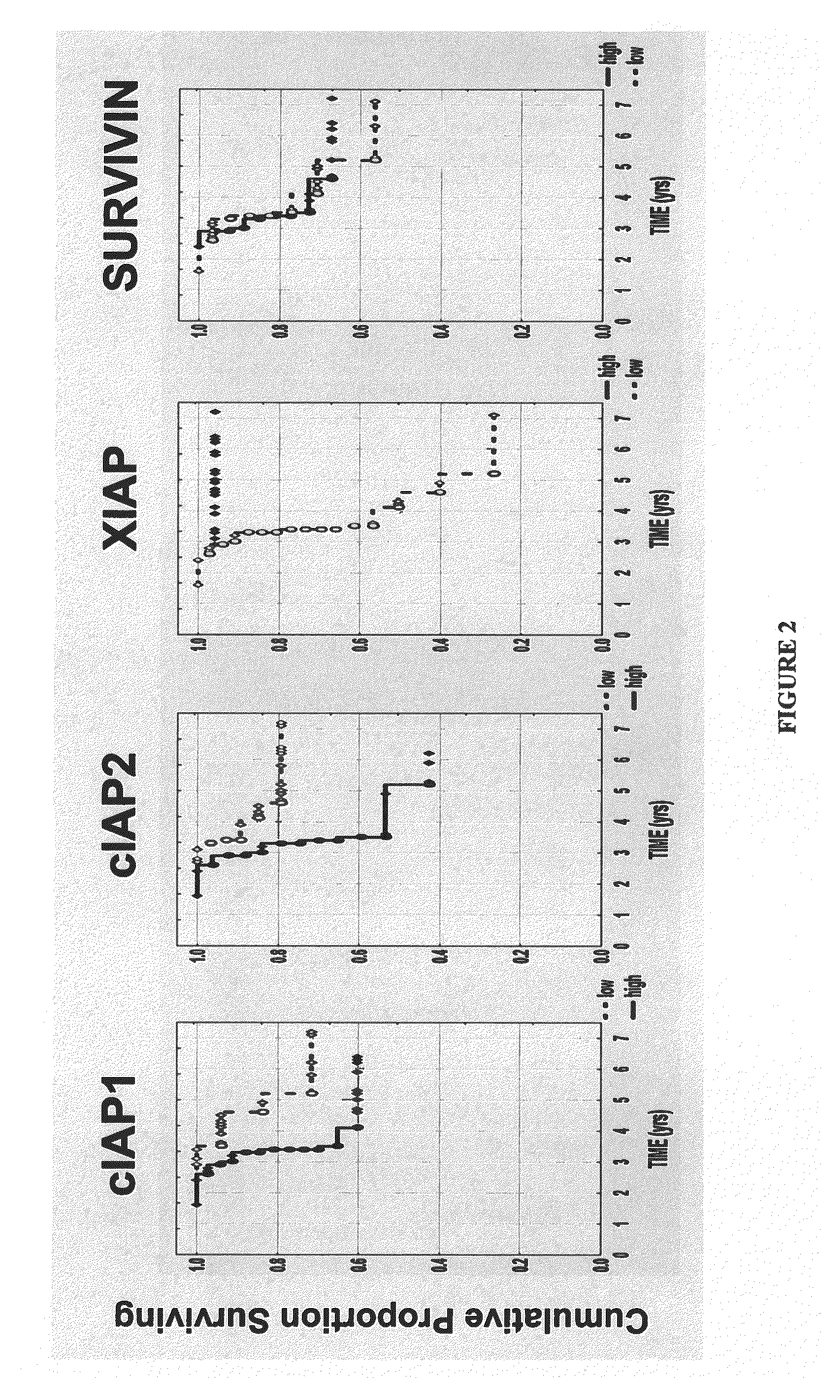 Methods for determining the prognosis for patients with a prostate neoplastic condition