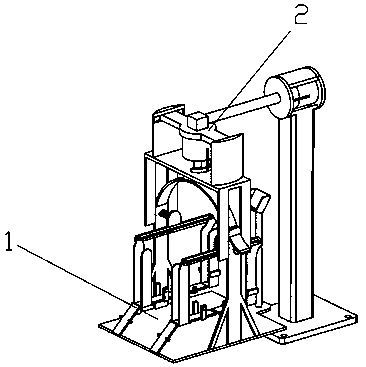 Injection fixing device with stabilizing mechanism for large dogs