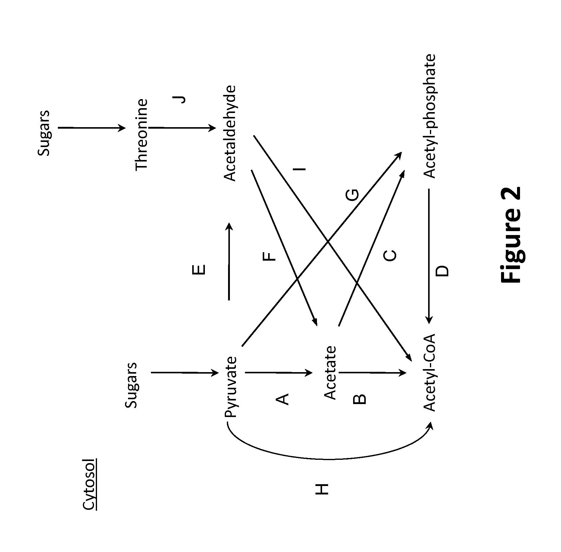 Microorganisms and methods for production of specific length fatty alcohols and related compounds